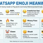 WhatsApp Emoji Meaning